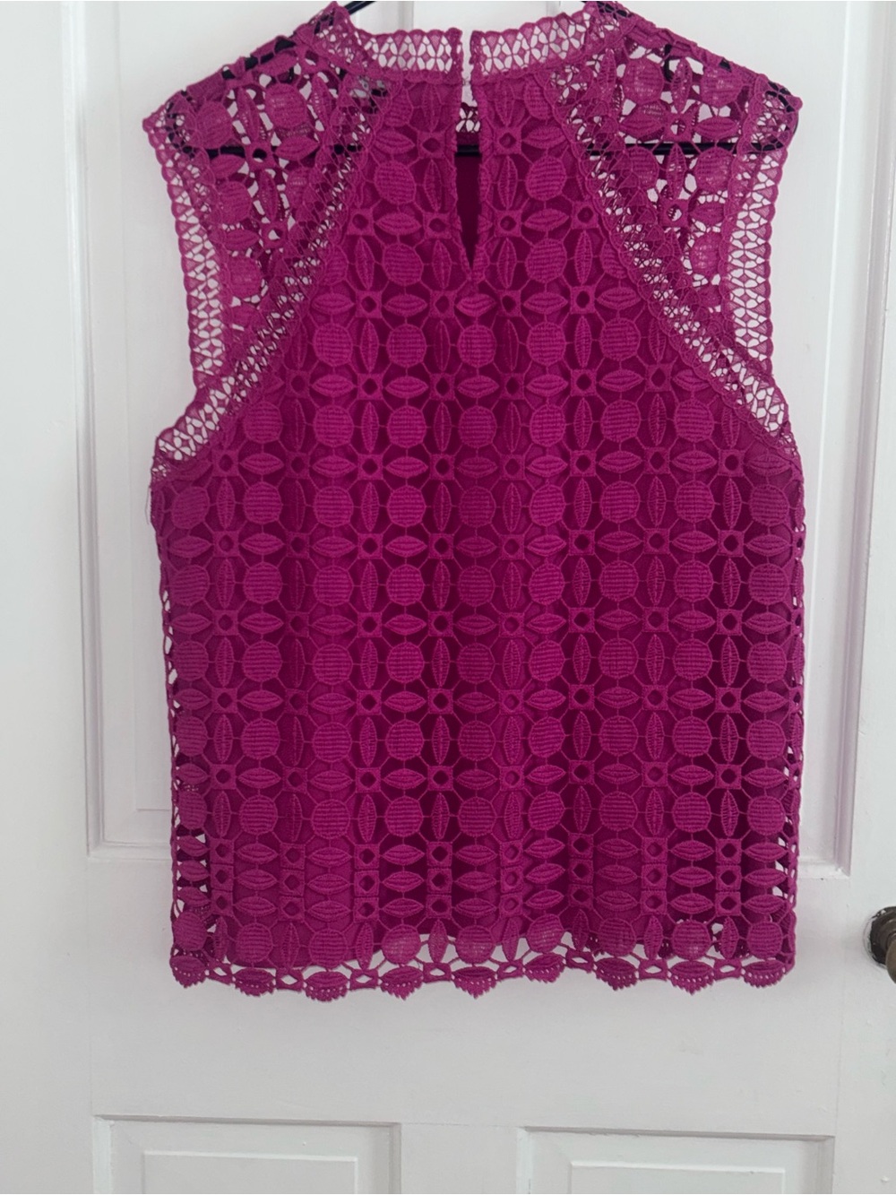 Laundry by Shelli Segal Raspberry Pink Lace Overlay Sleeveless Top Size 14 - Picture 3 of 7